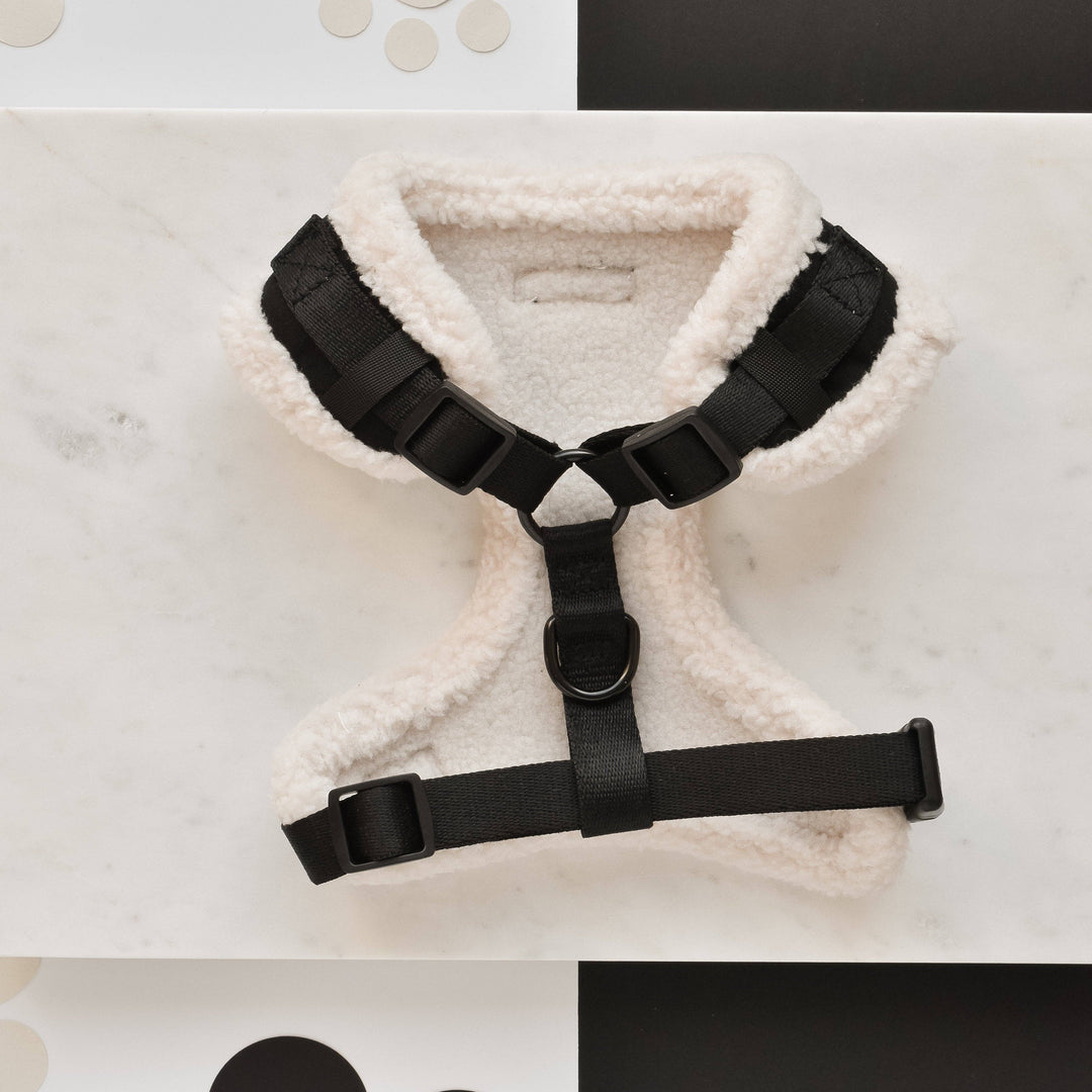 Aviator Adjustable Neck Harness