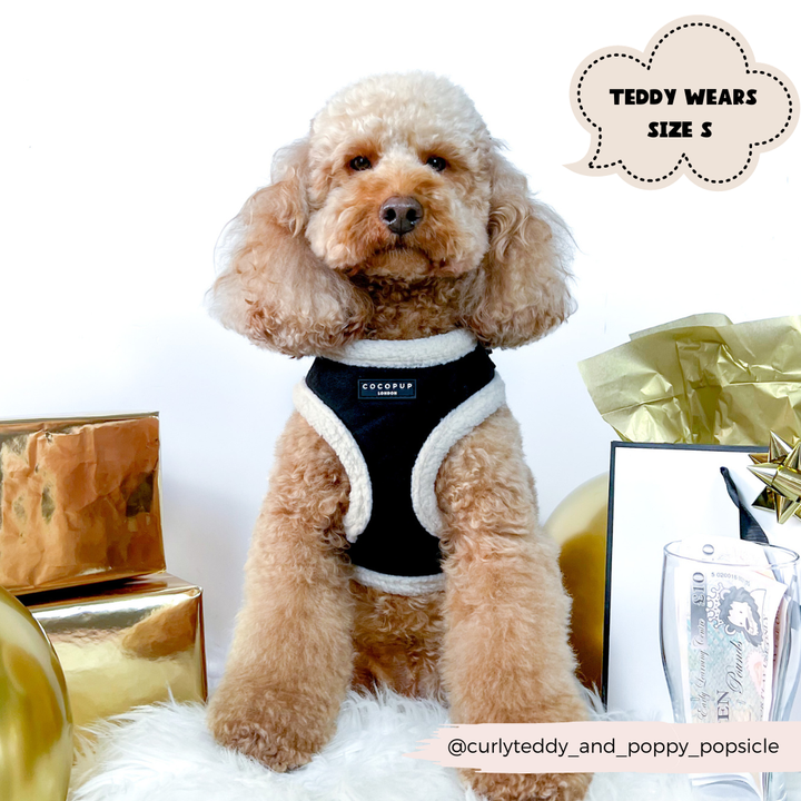 Aviator Adjustable Neck Harness