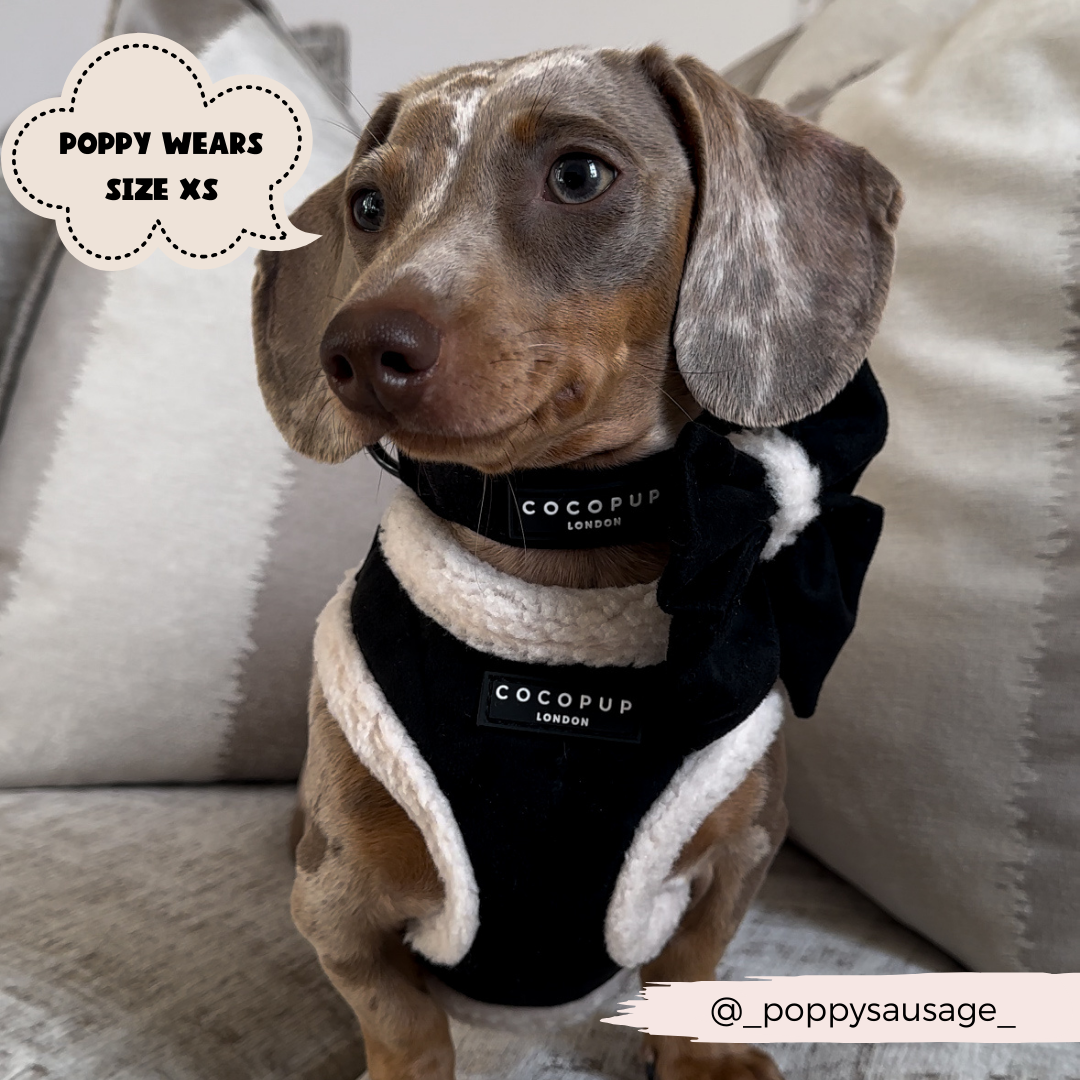 Aviator Adjustable Neck Harness