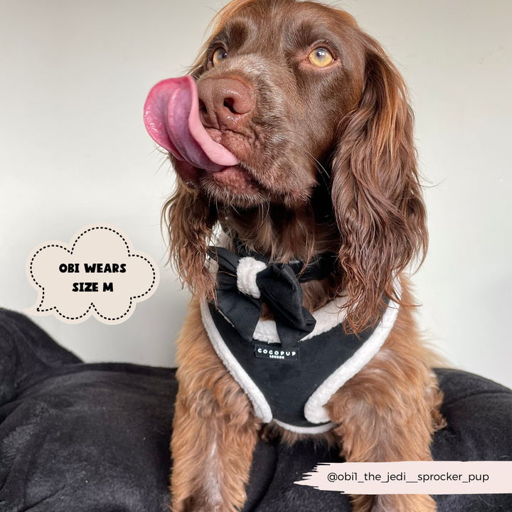 Aviator Adjustable Neck Harness