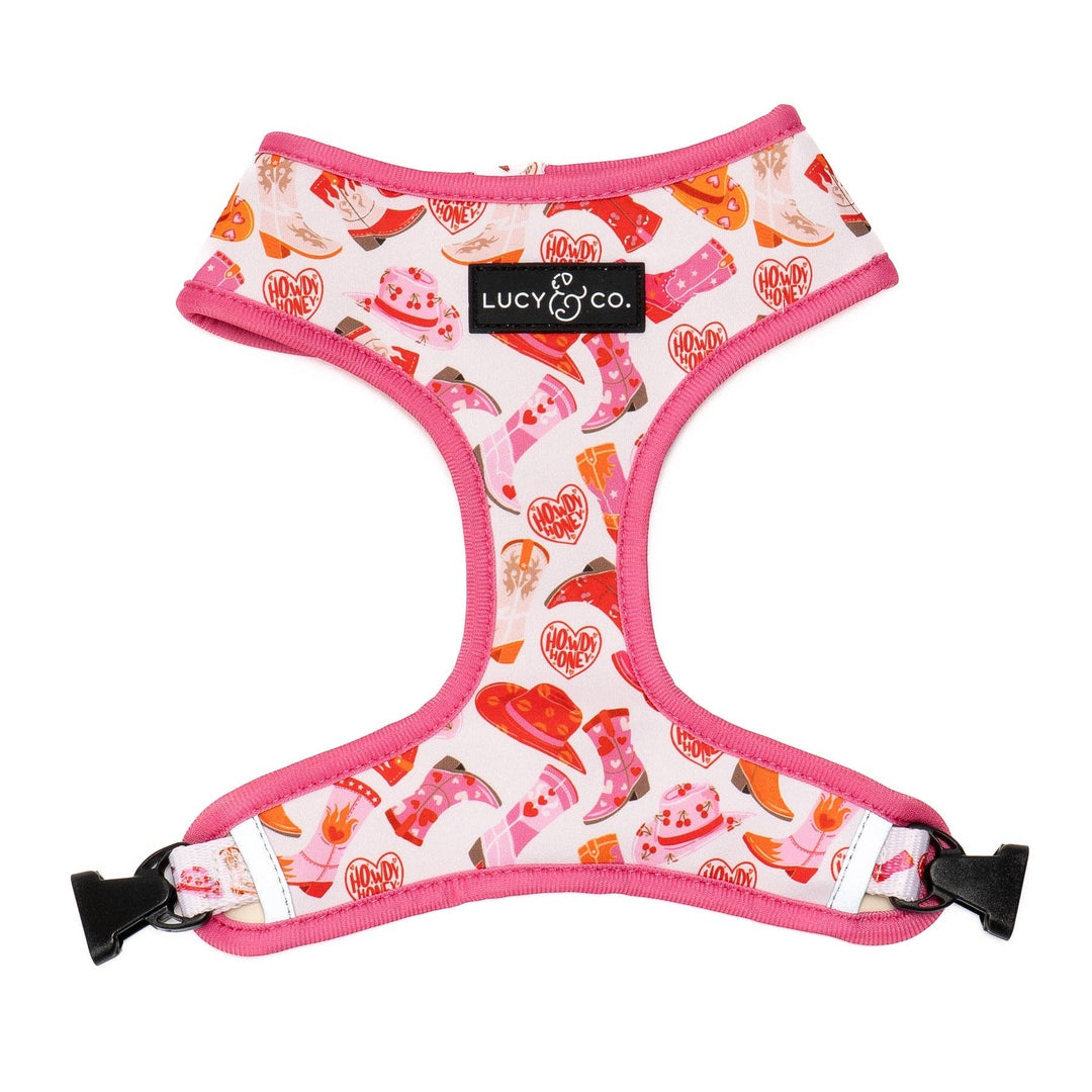 Reversible Harness