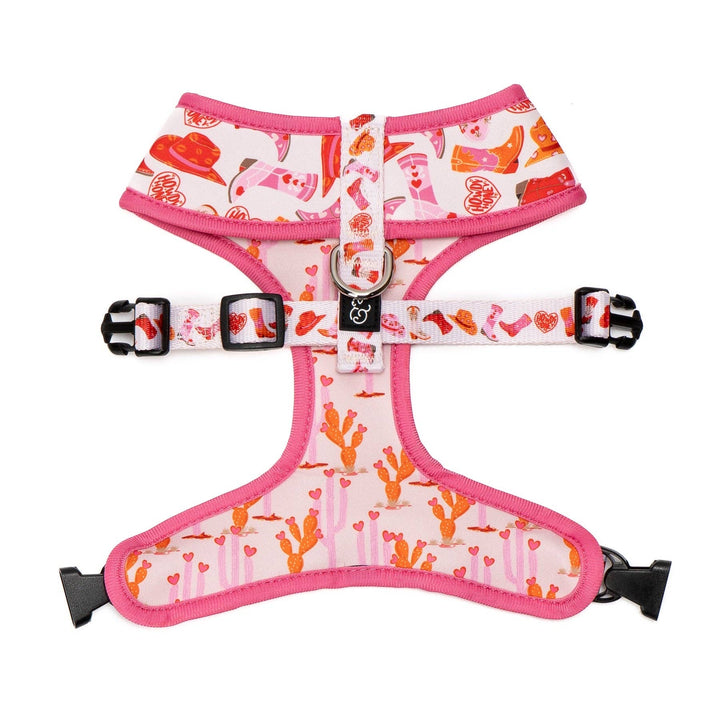 Reversible Harness