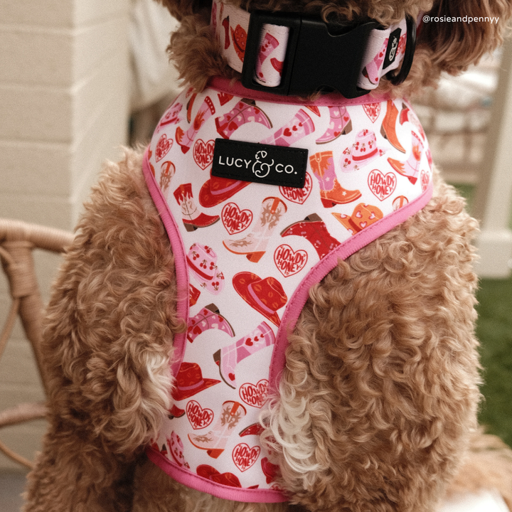 Reversible Harness