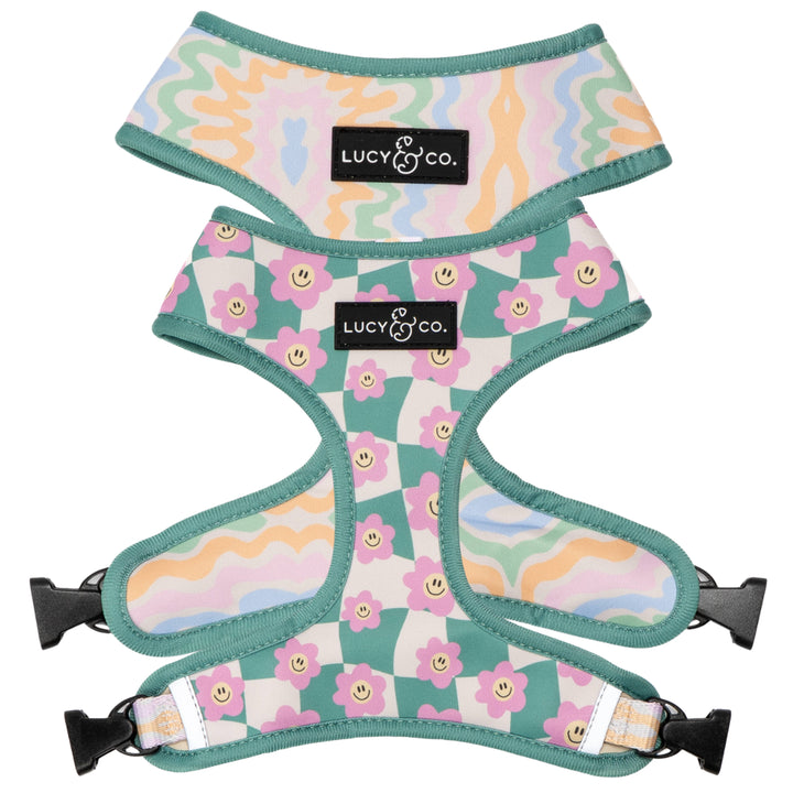 Reversible Harness