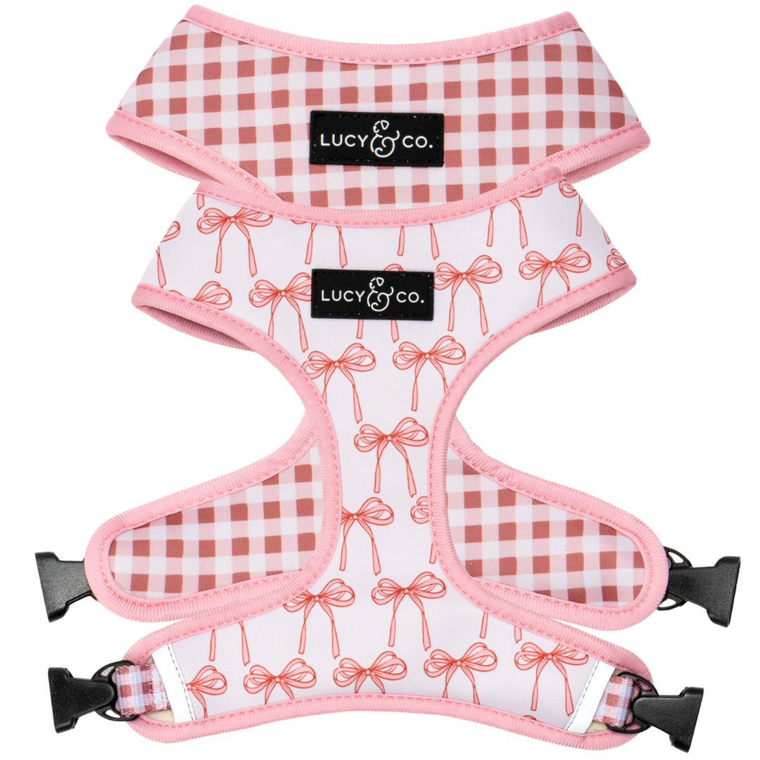 Reversible Harness