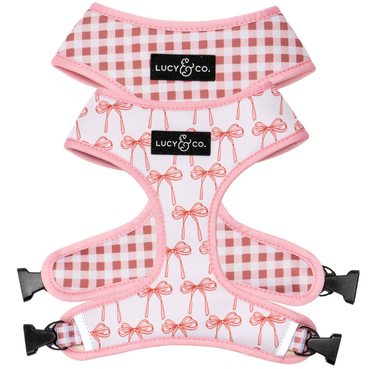 Reversible Harness