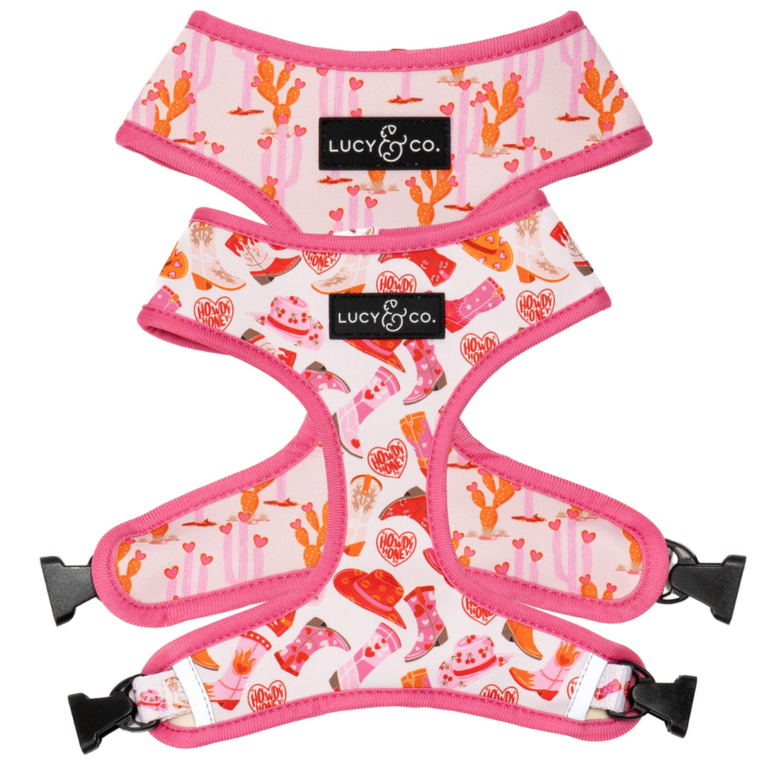 Reversible Harness