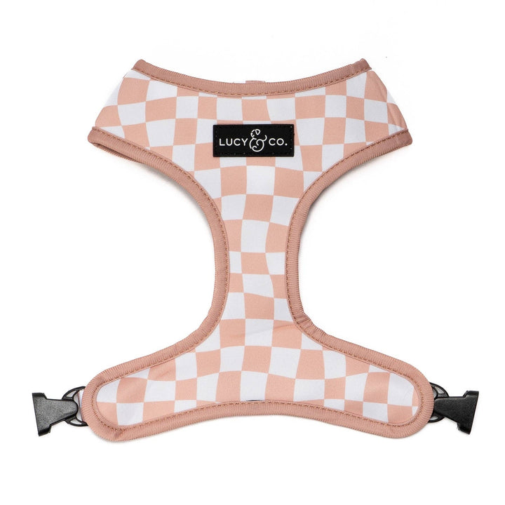 Reversible Harness
