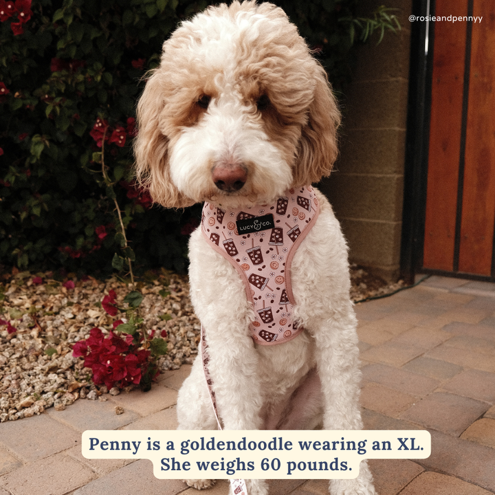 Reversible Harness