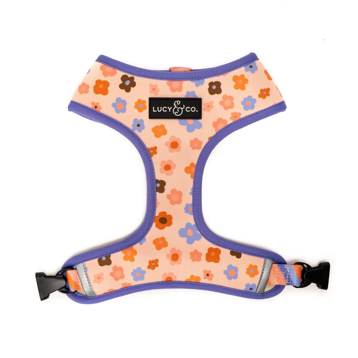 Reversible Harness