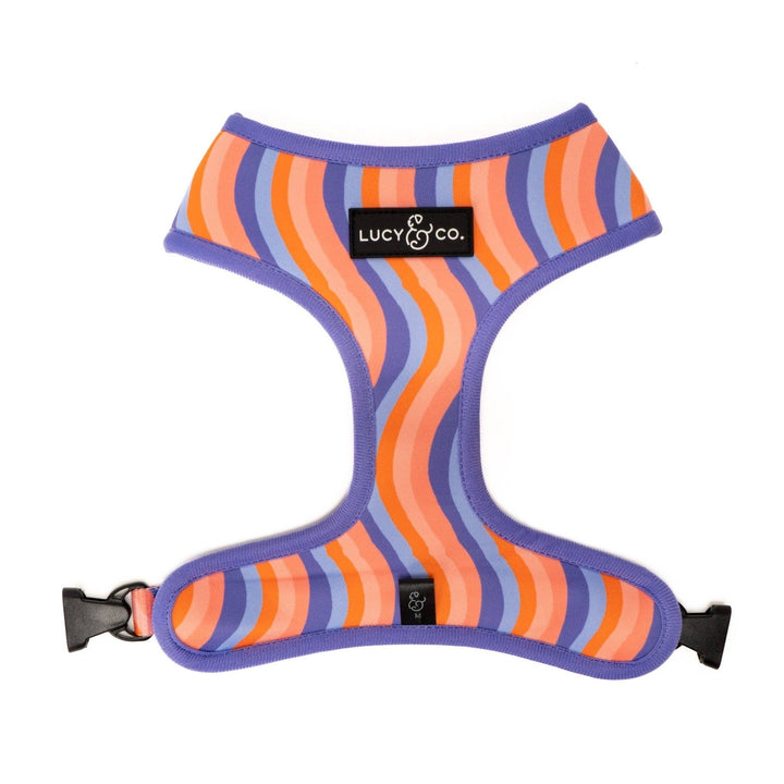 Reversible Harness