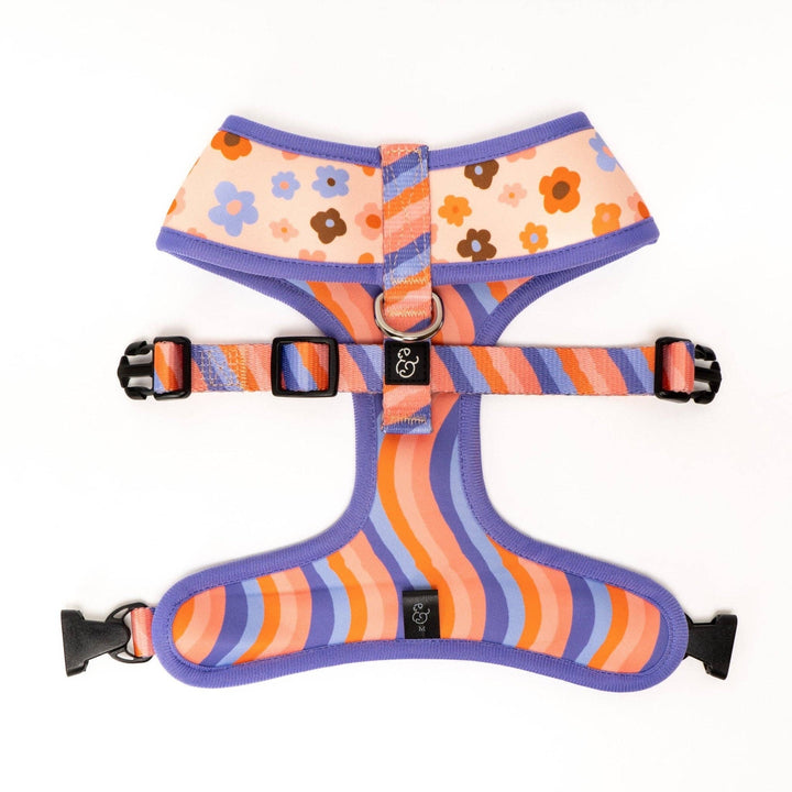 Reversible Harness