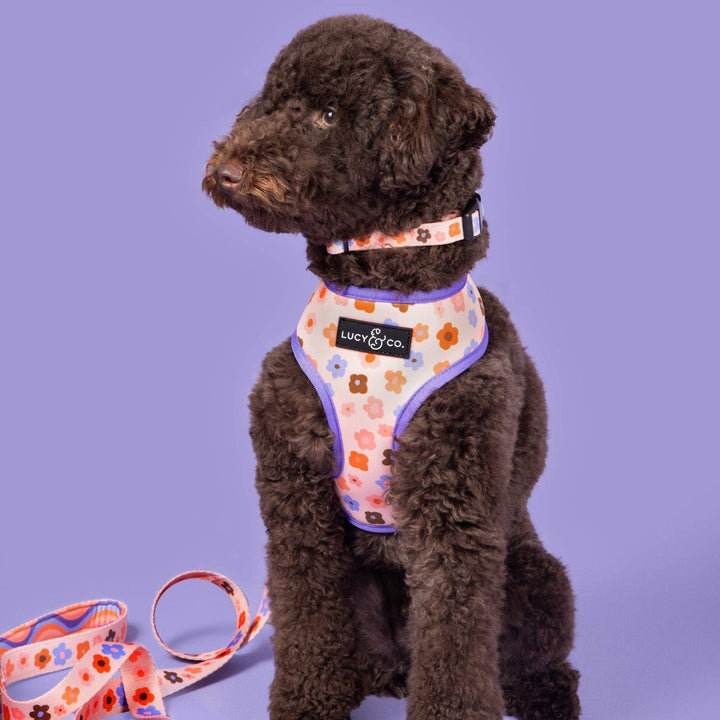 Reversible Harness