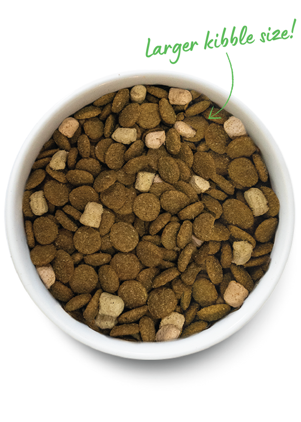 Grain-Free RawMix for Dogs - Large Breed Recipe