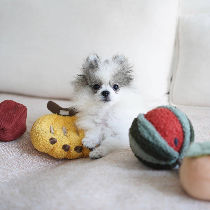 Banana Snuffle Toy