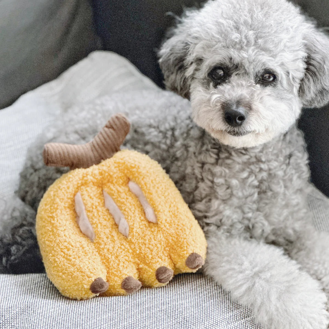 Banana Snuffle Toy