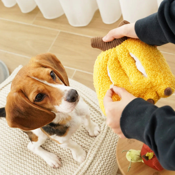 Banana Snuffle Toy