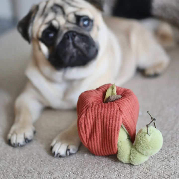 Apple Snuffle Toy