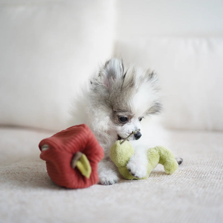 Apple Snuffle Toy