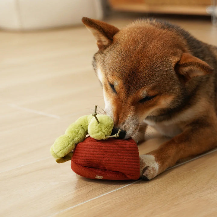 Apple Snuffle Toy