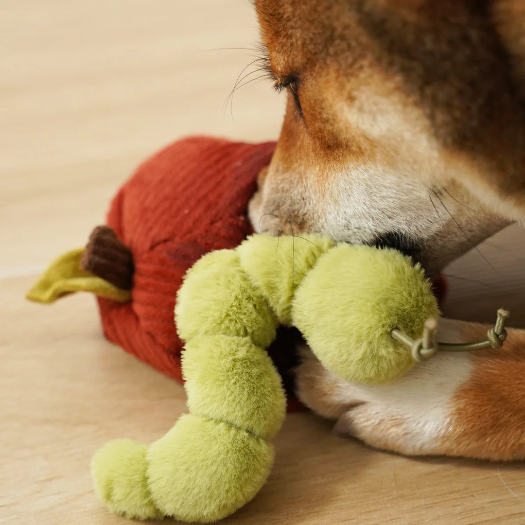 Apple Snuffle Toy