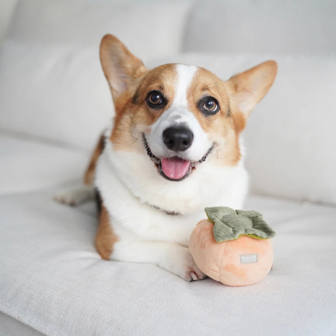 Persimmon Snuffle Toy