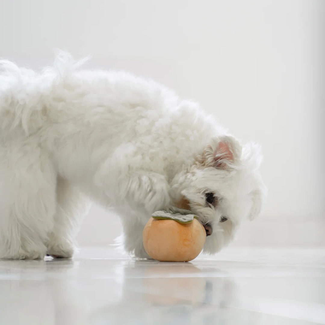 Persimmon Snuffle Toy