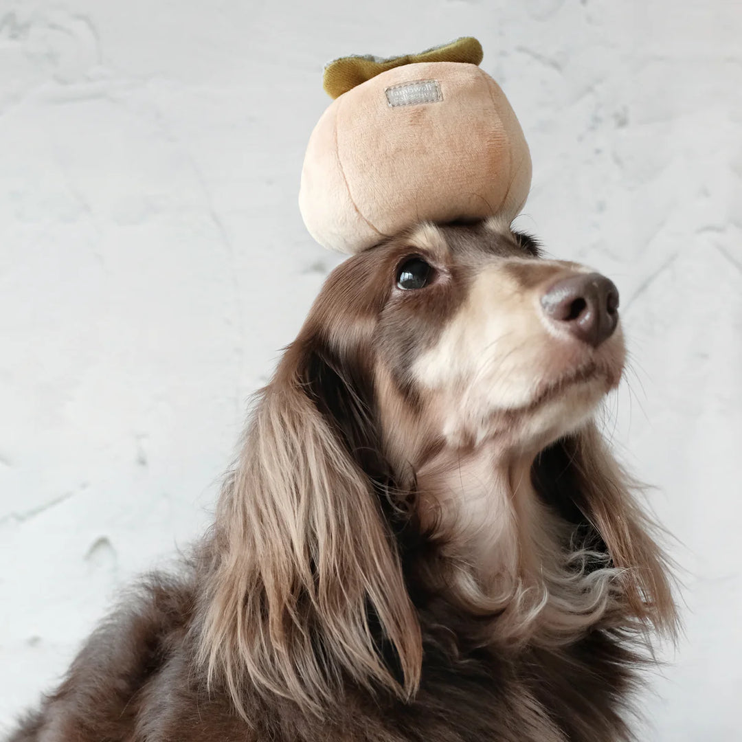 Persimmon Snuffle Toy