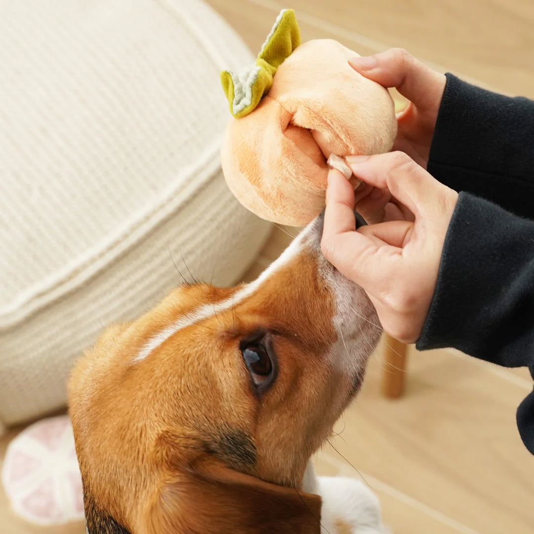 Persimmon Snuffle Toy