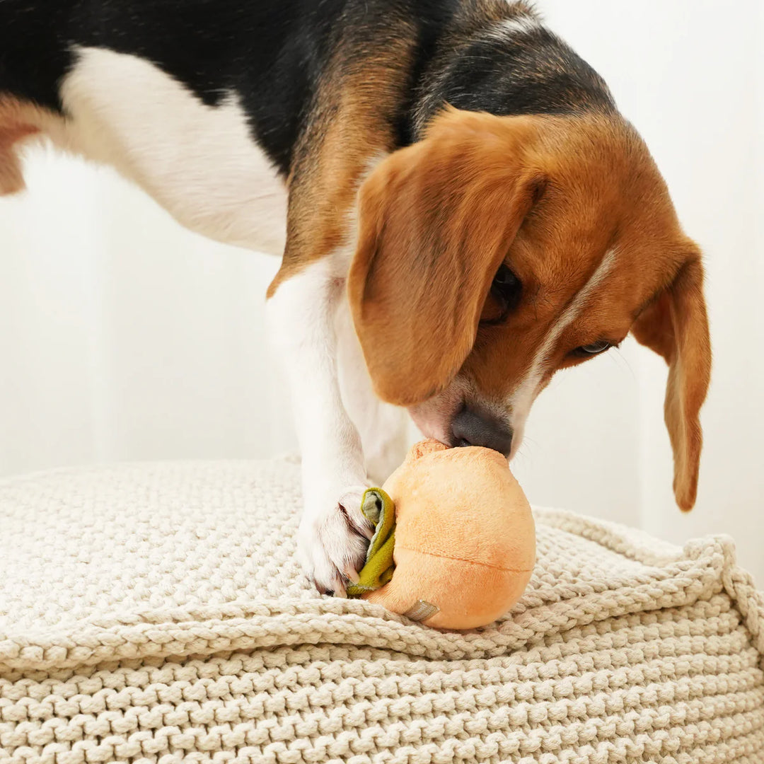 Persimmon Snuffle Toy