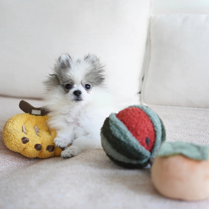 Watermelon Pop Snuffle Toy