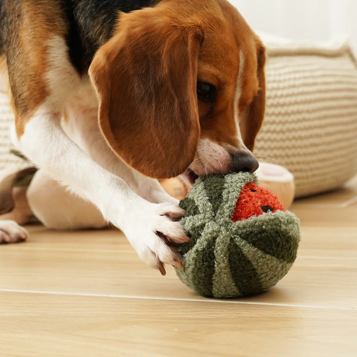 Watermelon Pop Snuffle Toy