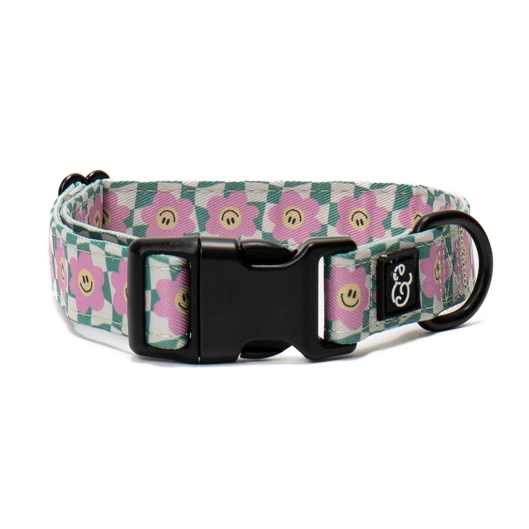 Lucy & Co. Collar