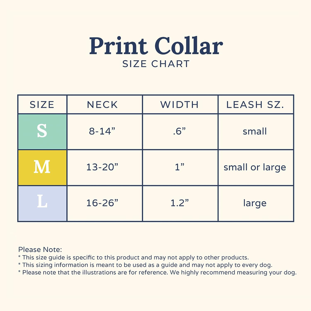 Lucy & Co. Collar