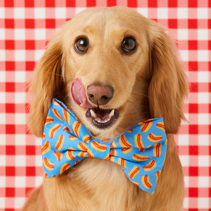 Dog Bow Tie