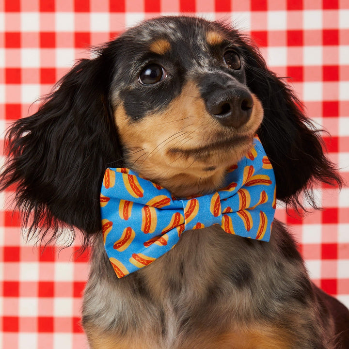 Dog Bow Tie
