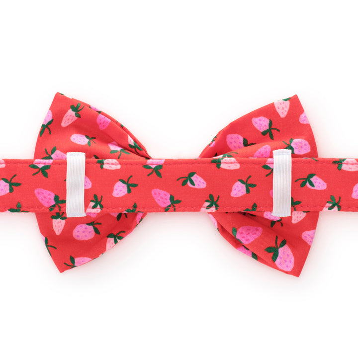 Dog Bow Tie