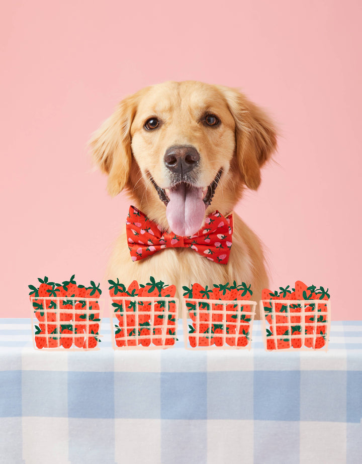 Dog Bow Tie