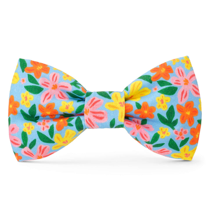 Dog Bow Tie