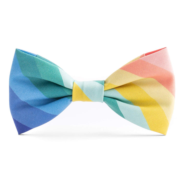 Dog Bow Tie