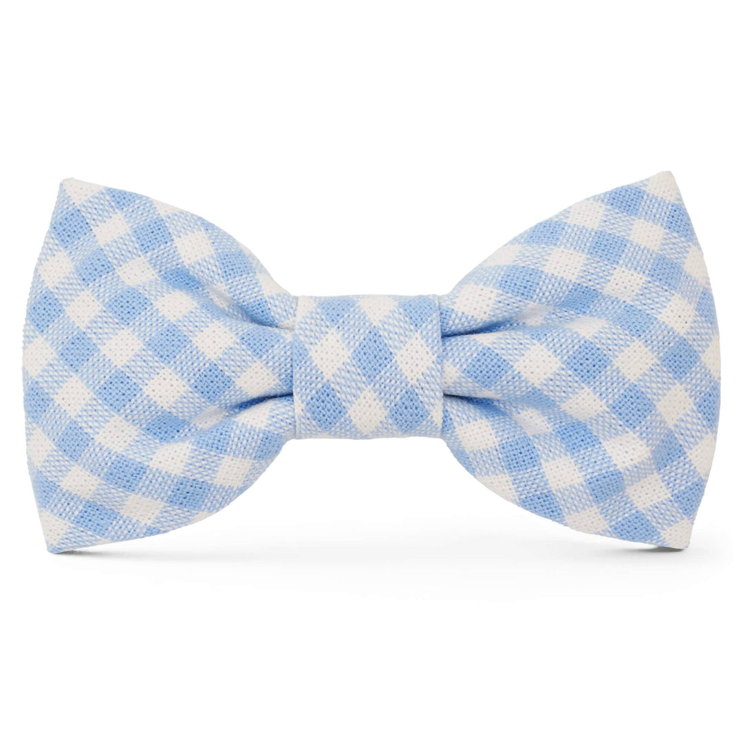 Dog Bow Tie