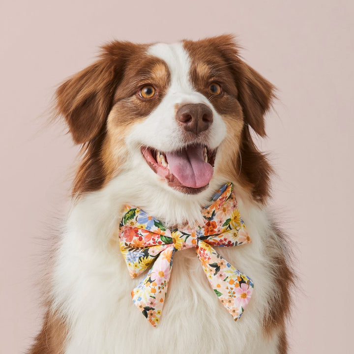 Dog Bow Tie