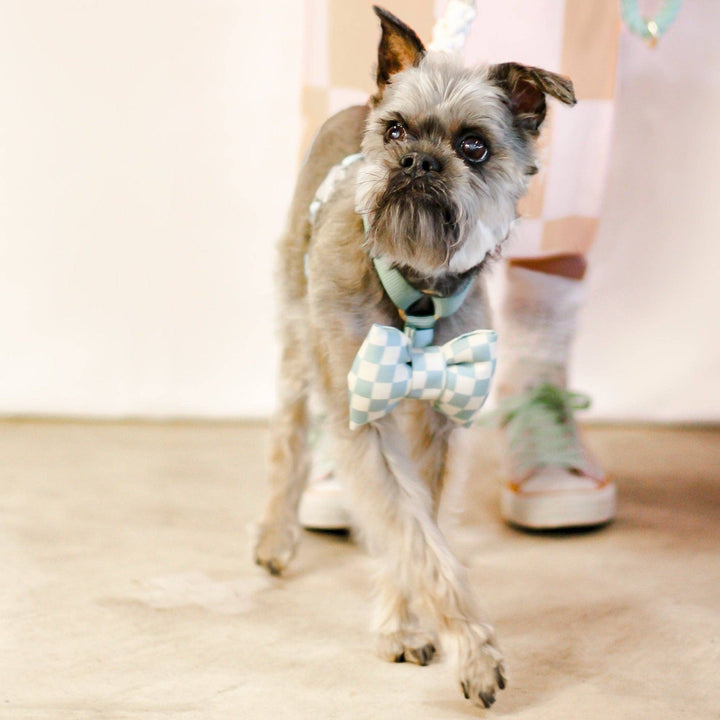 Checkered Bow Tie