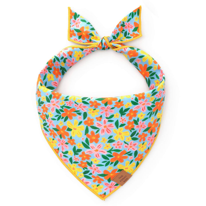The Foggy Dog Bandana
