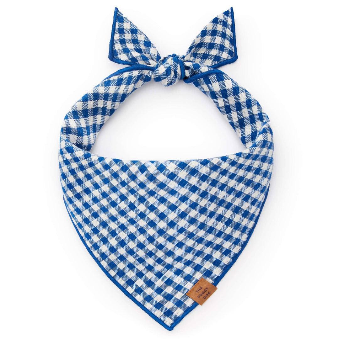 The Foggy Dog Bandana