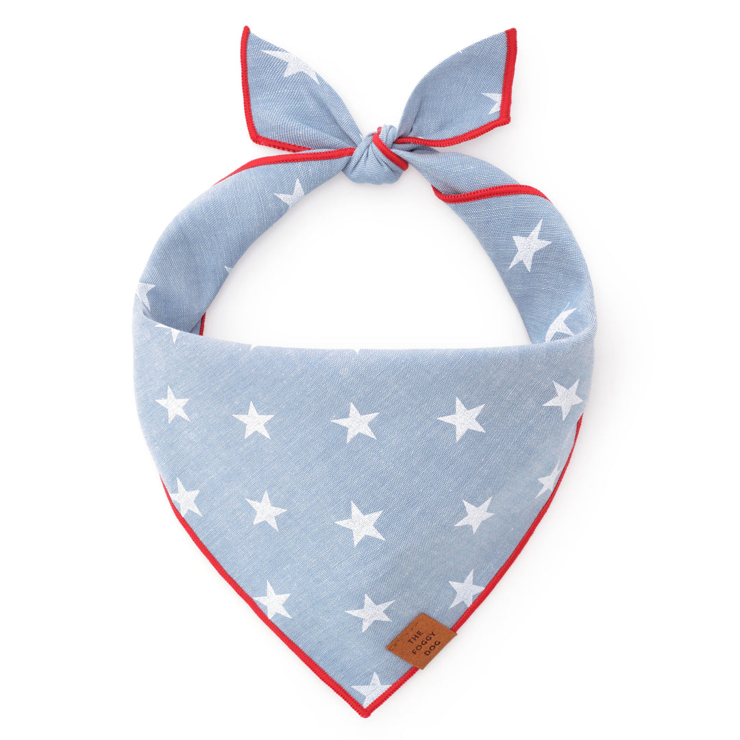The Foggy Dog Bandana