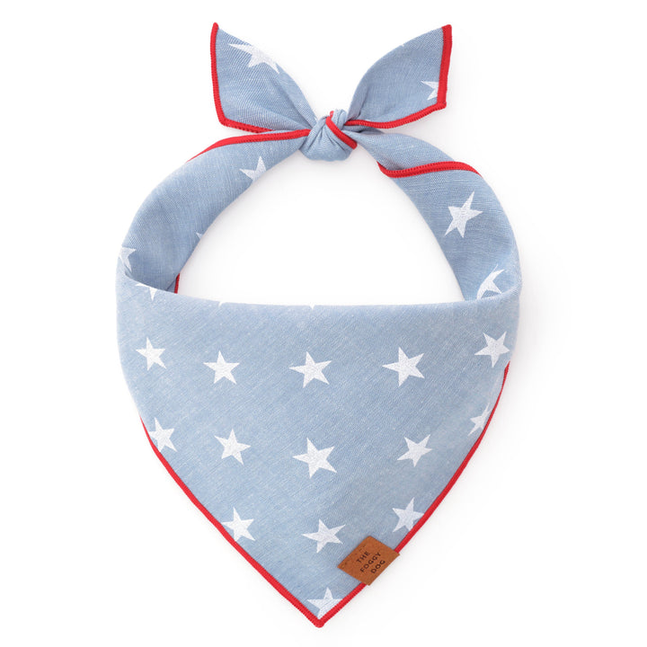 The Foggy Dog Bandana