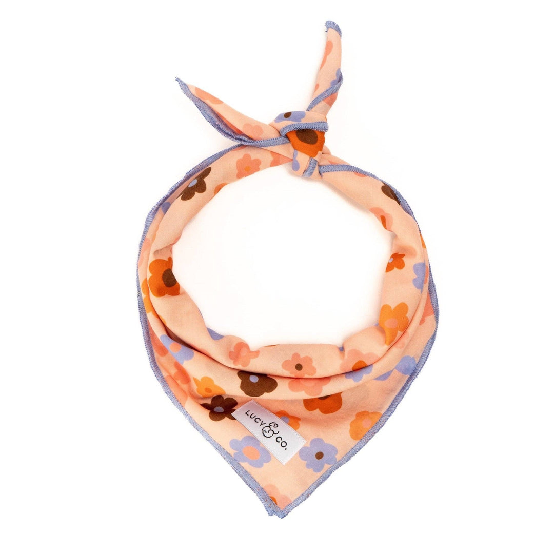 Lucy & Co. Bandana