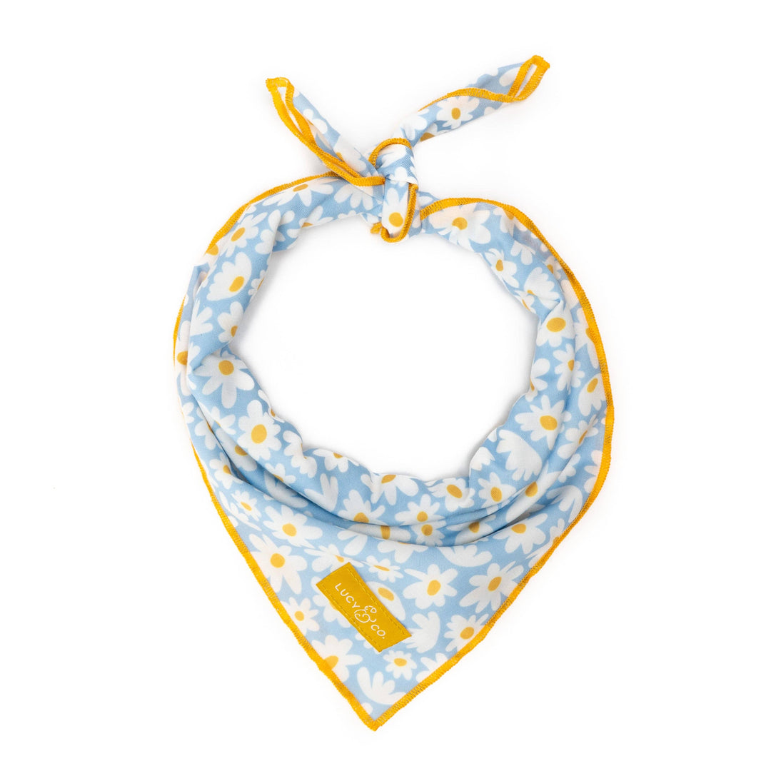 Lucy & Co. Bandana