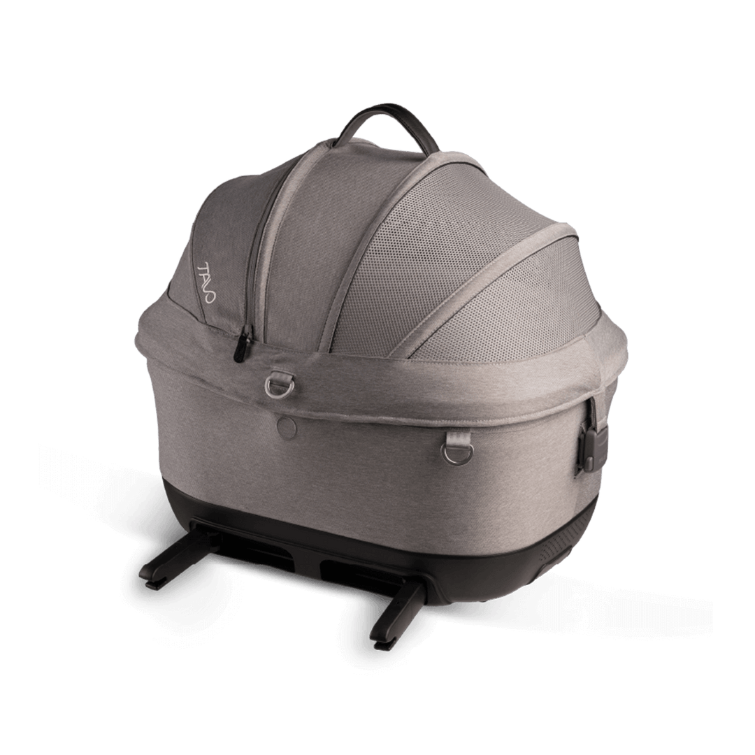 Maeve iso